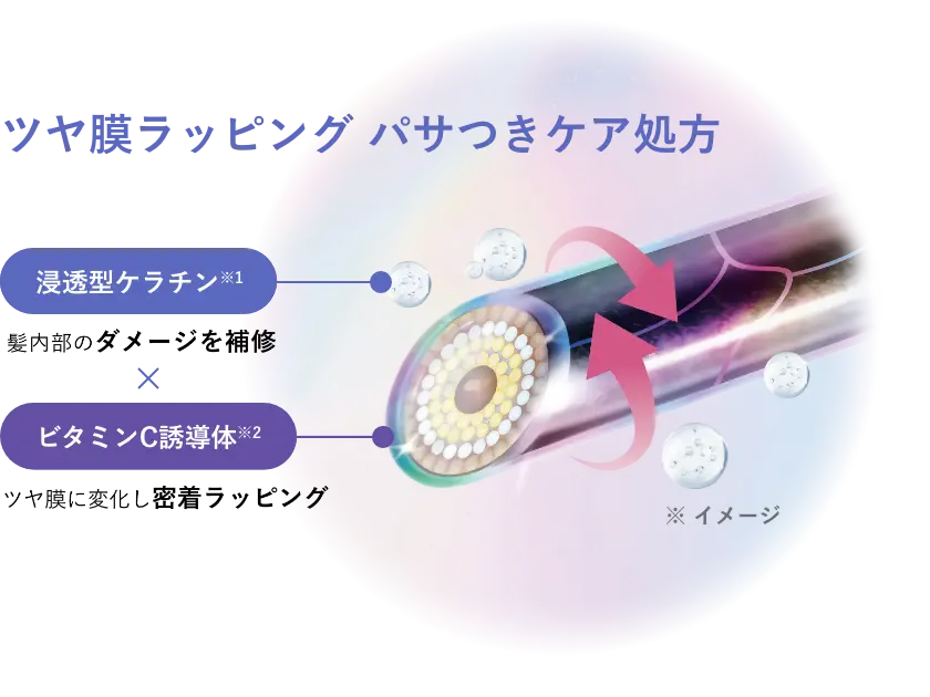 ツヤ膜ラッピング処方