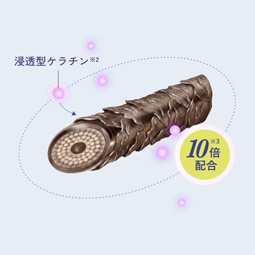 浸透型ケラチン※2 10倍※3配合
